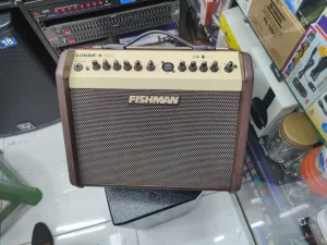 Fishman Loudbox Mini Acoustic Guitar Amplifier